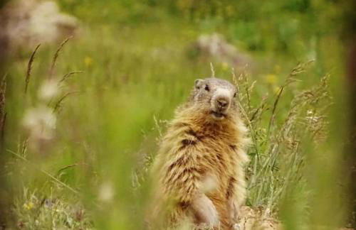 L'AnsloBoys Montagne J4 - Foto 40