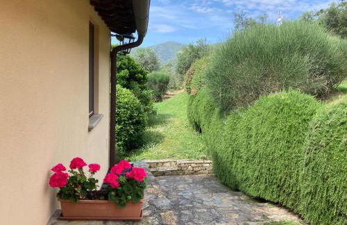 Agriturismo Cima alla Serra - Foto 41