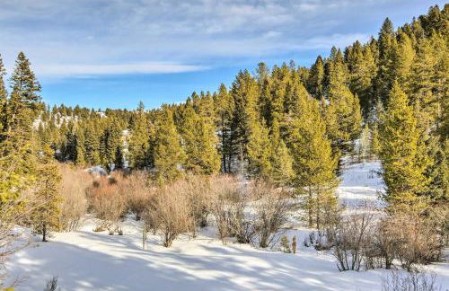 Bozeman Cabin Deck with Jacuzzi and Gas Grill! - Foto 24