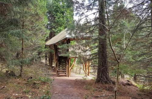 Charming Holiday Residence in the Harz With Wonderful Excursion Opportunities - Foto 104