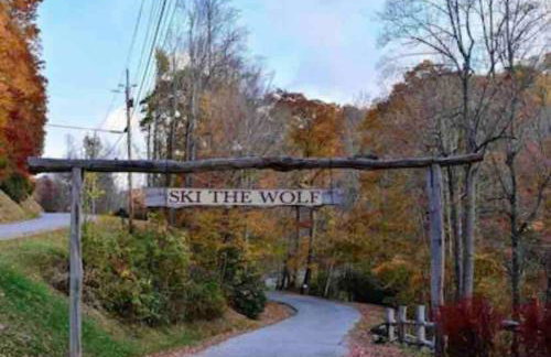 Cabin near Asheville, Hatley Pt, hot tub, views - Foto 9