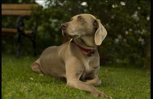 Monte A Pescia - Foto 37