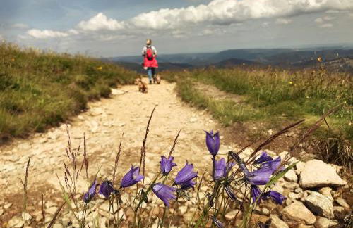 Ferienhaus Robin - Foto 70