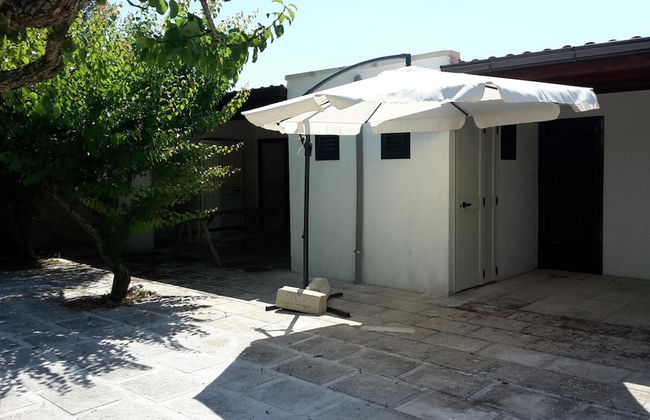 Agriturismo Vignavecchia - Photo 63