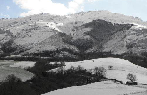 Pena plata - Foto 24