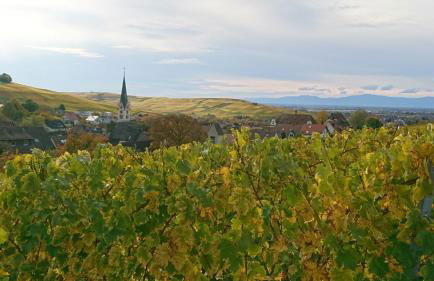 Casa Asensio - Foto 31