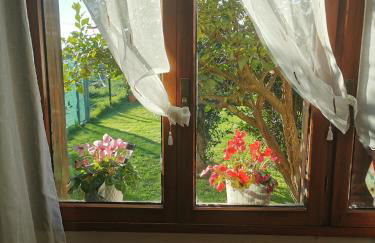 Chalet céntrico costero en Gijón - Foto 16