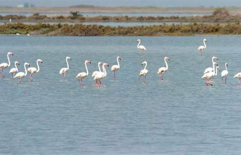 Spacious Ground floor apartment with Garden & Communal Pool - Foto 44