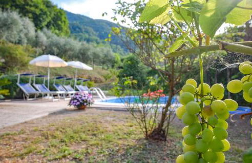 Cozy Home In Castagnetoli - Foto 17