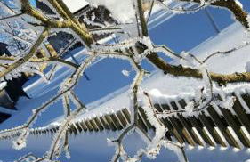 SeidelsFerienparadiesGahlenz - Foto 16