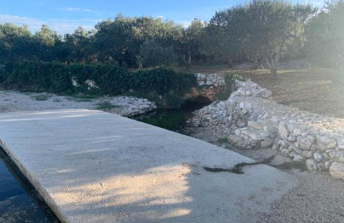 Apartment Bura - Photo 19