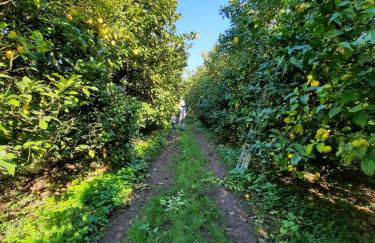 Quinta de Castelhão - Foto 61