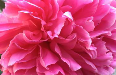 Chez polyte - Photo 16