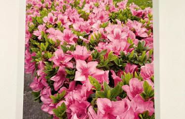 Casa das Courelas - Photo 19