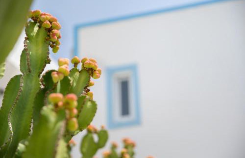 Akti Dimis Hotel - Foto 22