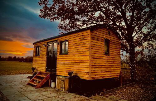 The Dragonfly - Luxury Lakeside Shepherds Hut - Foto 27