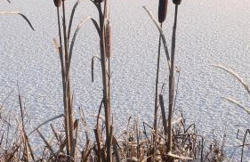 Komfortowy domek z kominkiem - Foto 35