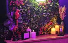 Suite Passion - Jacuzzi privé - Table massage - Foto 6