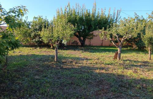 Casa com Arte - country house with swimming pool - Foto 41