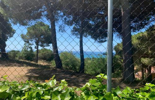 Your Pet-friendly Home In Sant Pol - Foto 40