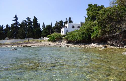 Villa Mimosa Poros Beachfront Apartments - Foto 27