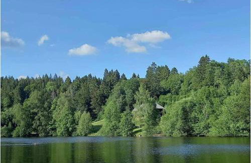 Country house on the Dachsberg - Foto 22