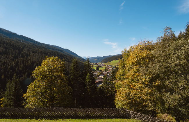 Rossbrand - Photo 27