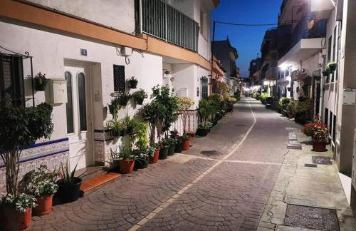 The Lemon Tree by the Sea - Photo 60