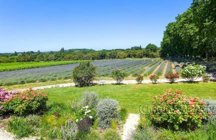 La Chapelle Gite avec piscine chauffee - Foto 26