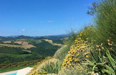 Country House Ca'Balsomino - Foto 11