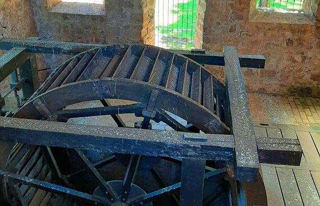 Ybycui National Park + La Rosada Museum Tour - Foto 5