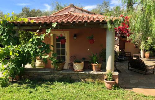 Domaine Le Clos des Oliviers - Foto 1