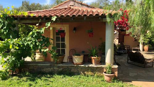 Domaine Le Clos des Oliviers - Foto 1