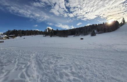 Ferienwohnung Seeblick mit Balkon - Mein Schwarzwaldhäusle - Foto 17