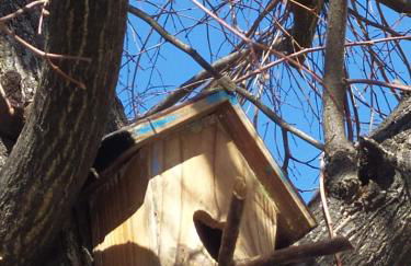 BHH Appartamento Signorini Bologna -wwwbolognaholidayhomecom- Parcheggio Riservato e Giardino - Holiday House Bologna Garden Parking - Foto 33