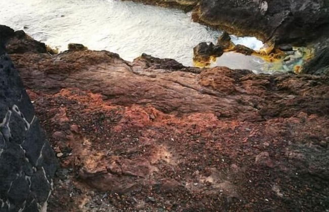 Finca El Castillo - Foto 55