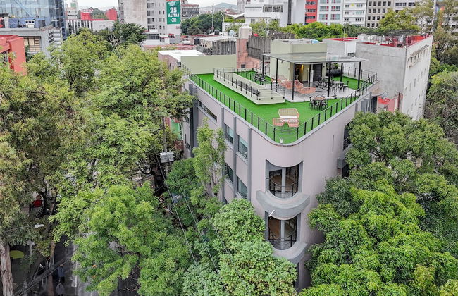 Capitalia Condesa Escandon - Foto 1