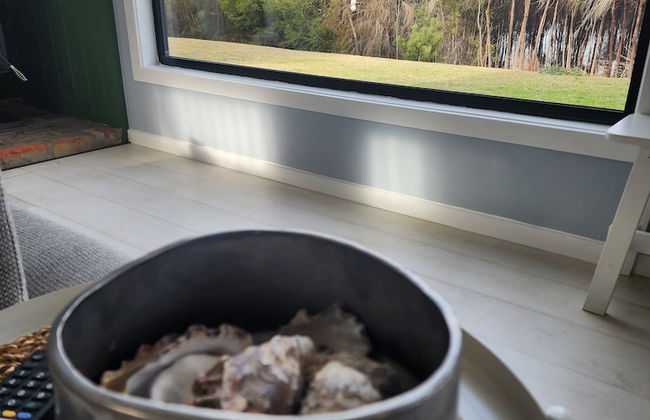 Flotsam Studio Accommodation - Photo 23