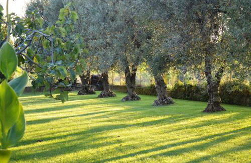 Villa Irene Pisticci-Matera - Photo 25