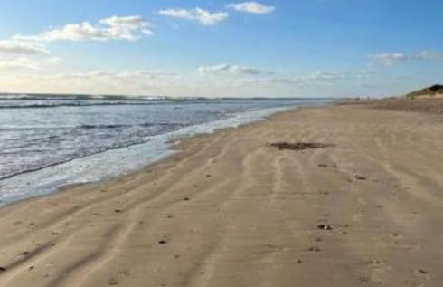 Villa TEYO Le Bois Plage en Ré - Foto 50