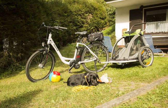 1 bedroom Apartment in Schönecken with garden and terrace - Photo 22