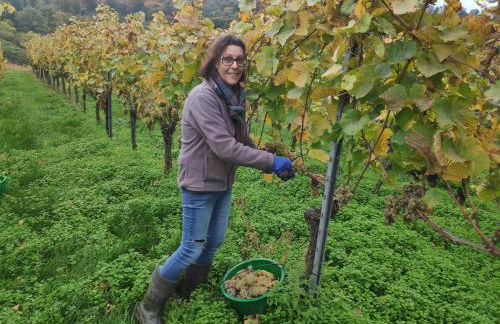 Weingut & Straußwirtschaft Vogel - Foto 57
