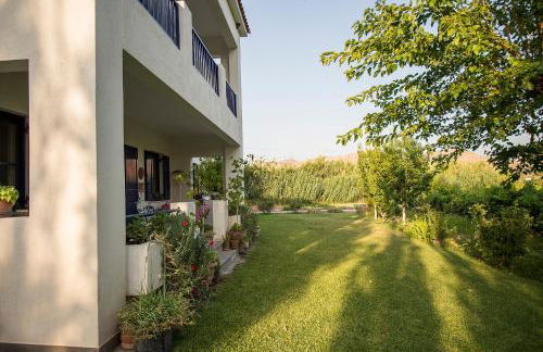 Eressos Ilios Apartments - Photo 6