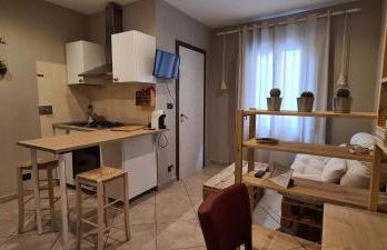 Musa Paradisiaca - Foto 8