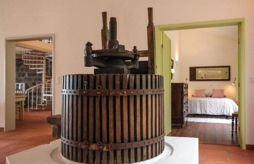 Adega do Mota - Photo 22