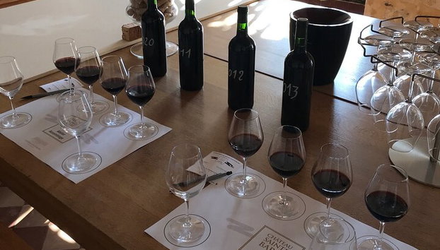 Taller enológico privado y visita del Château de Sainte Barbe - Foto 2