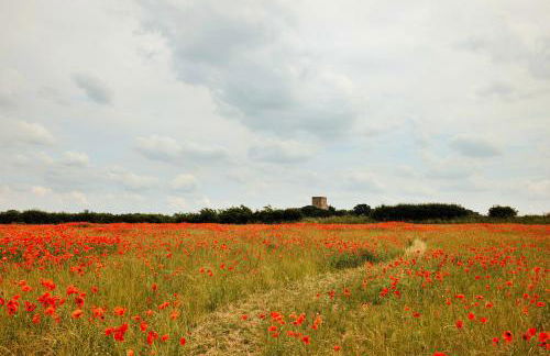 Finest Retreats - Owls Nest - Foto 22