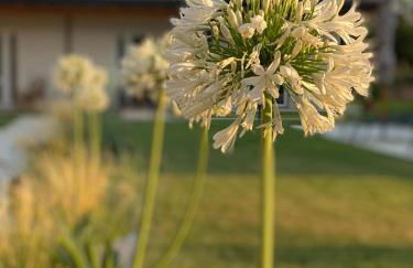 Agriturismo Pepe Rosa - Foto 39