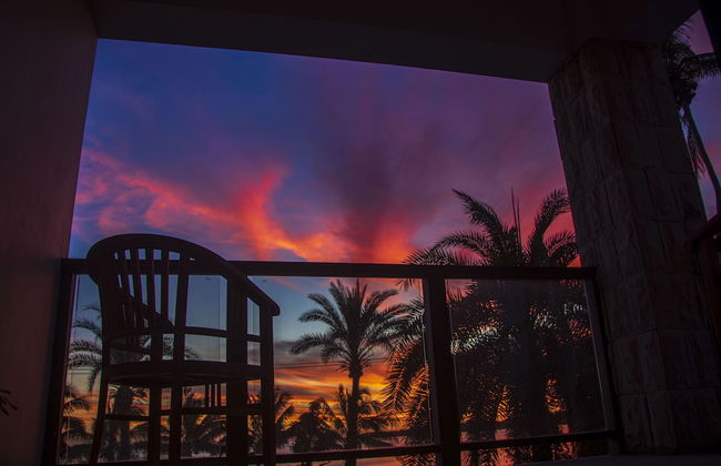 Seafront Apartment Coral Coast - Photo 58