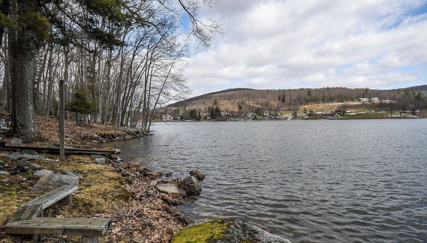 Shelby-on-the-lake by Taylor Made Deep Creek - Foto 3, Servicios del alojamiento
